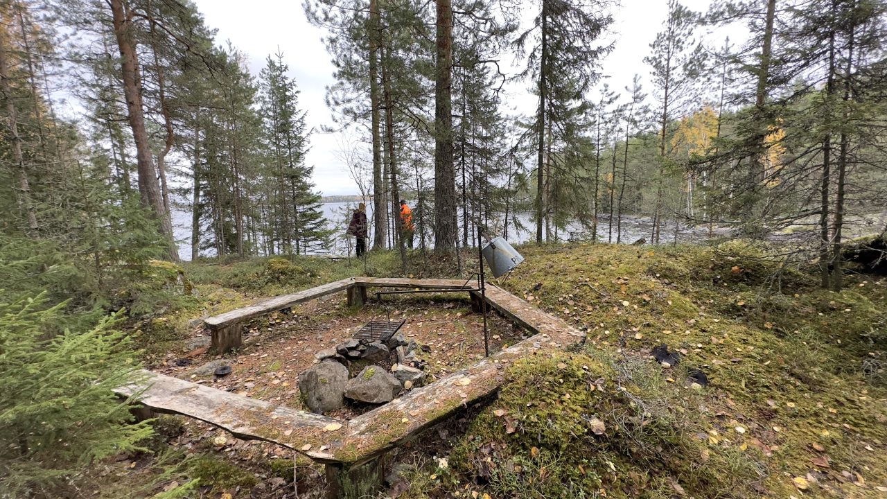 Wooden planks form a campfire site in the forest.