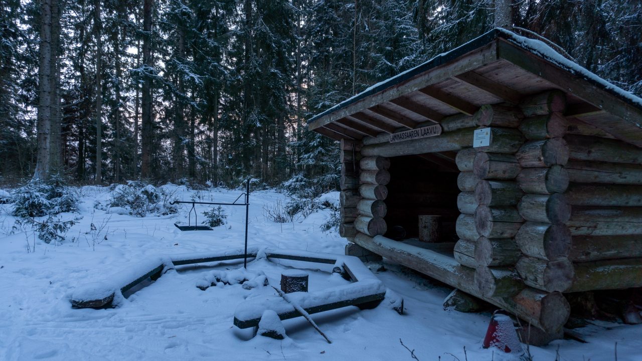 A log lean-to shelter with a campfire site in front of it.
