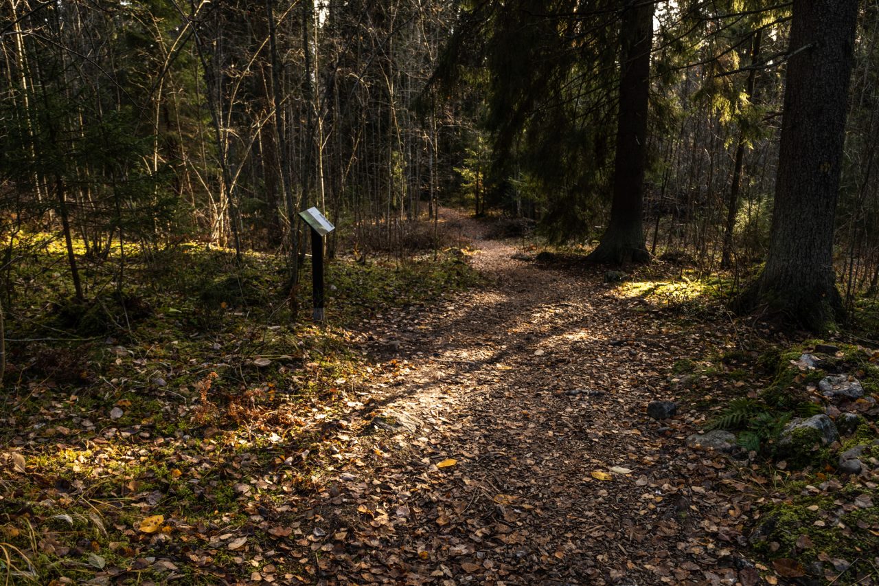 Metsäpolku, jonka varrella kyltti.