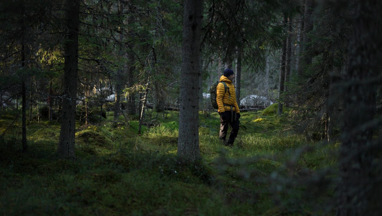A man stands in a forest where moss covers the ground.