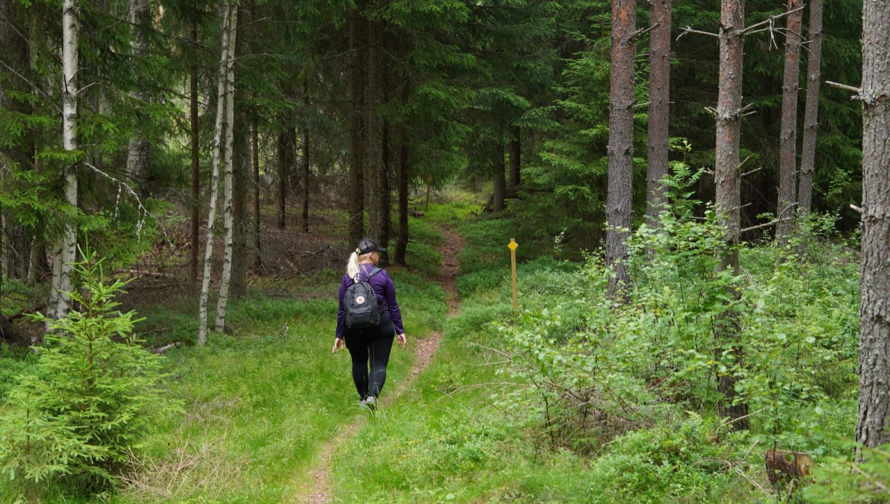 Nainen kävelee polkua pitkin metsään.