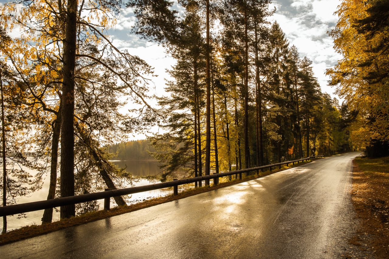 Paved road runs along a lakeside.