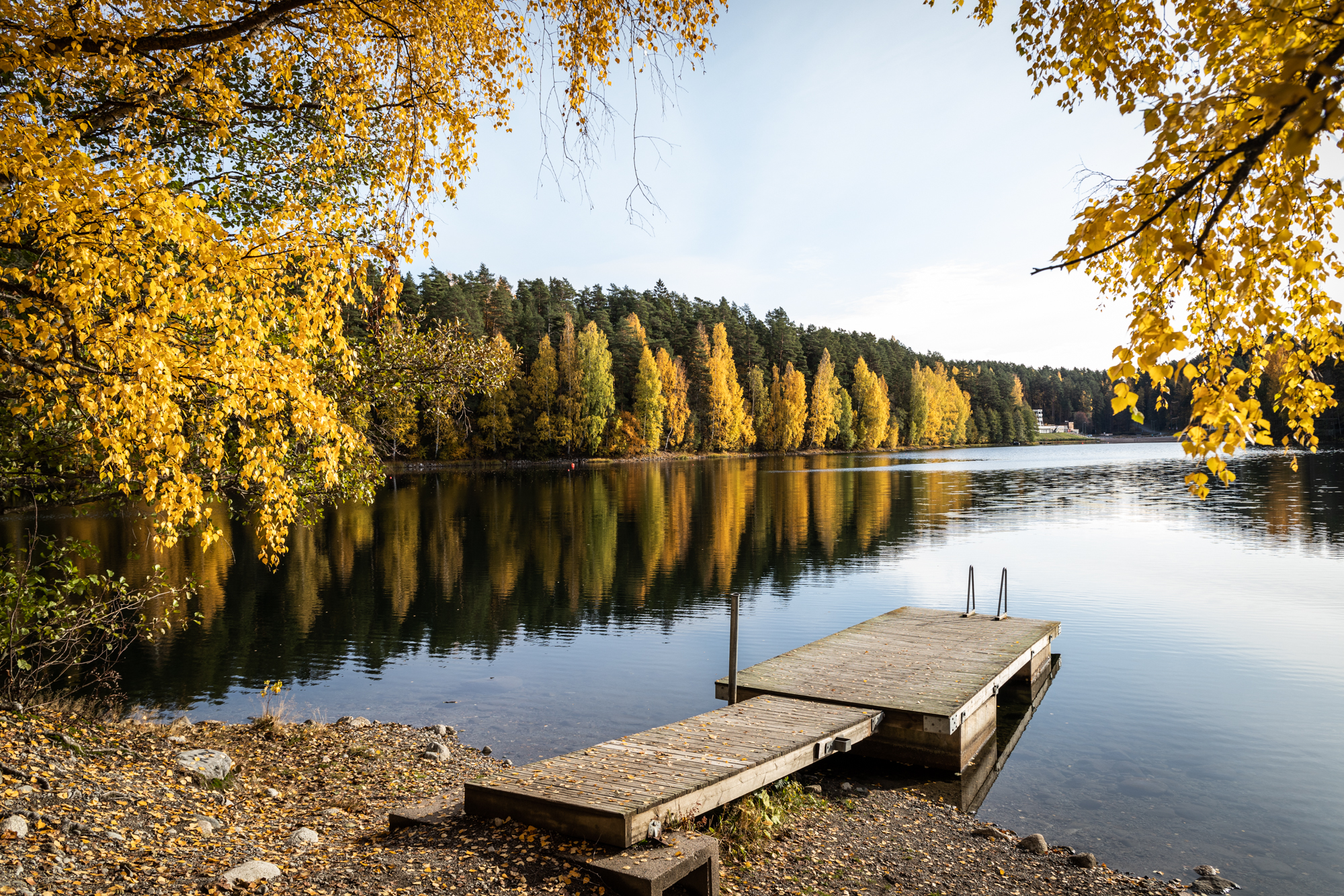 Ahvenistonjärvi syksyllä.