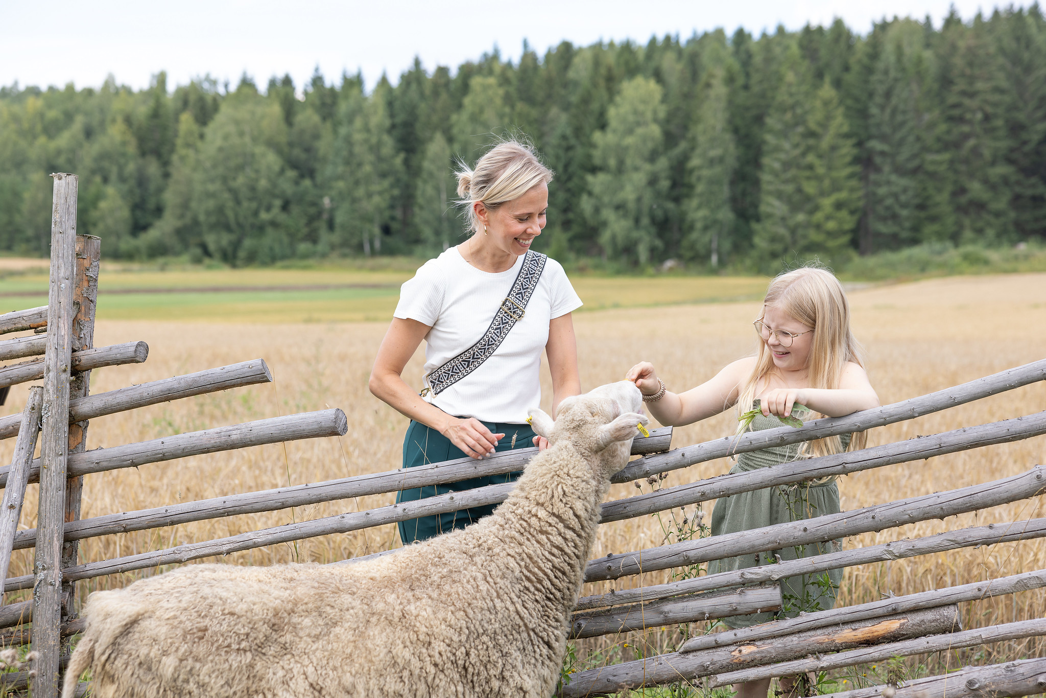 Lapsi silittää lammasta aikuisen kanssa Hauhon Ilorannassa.