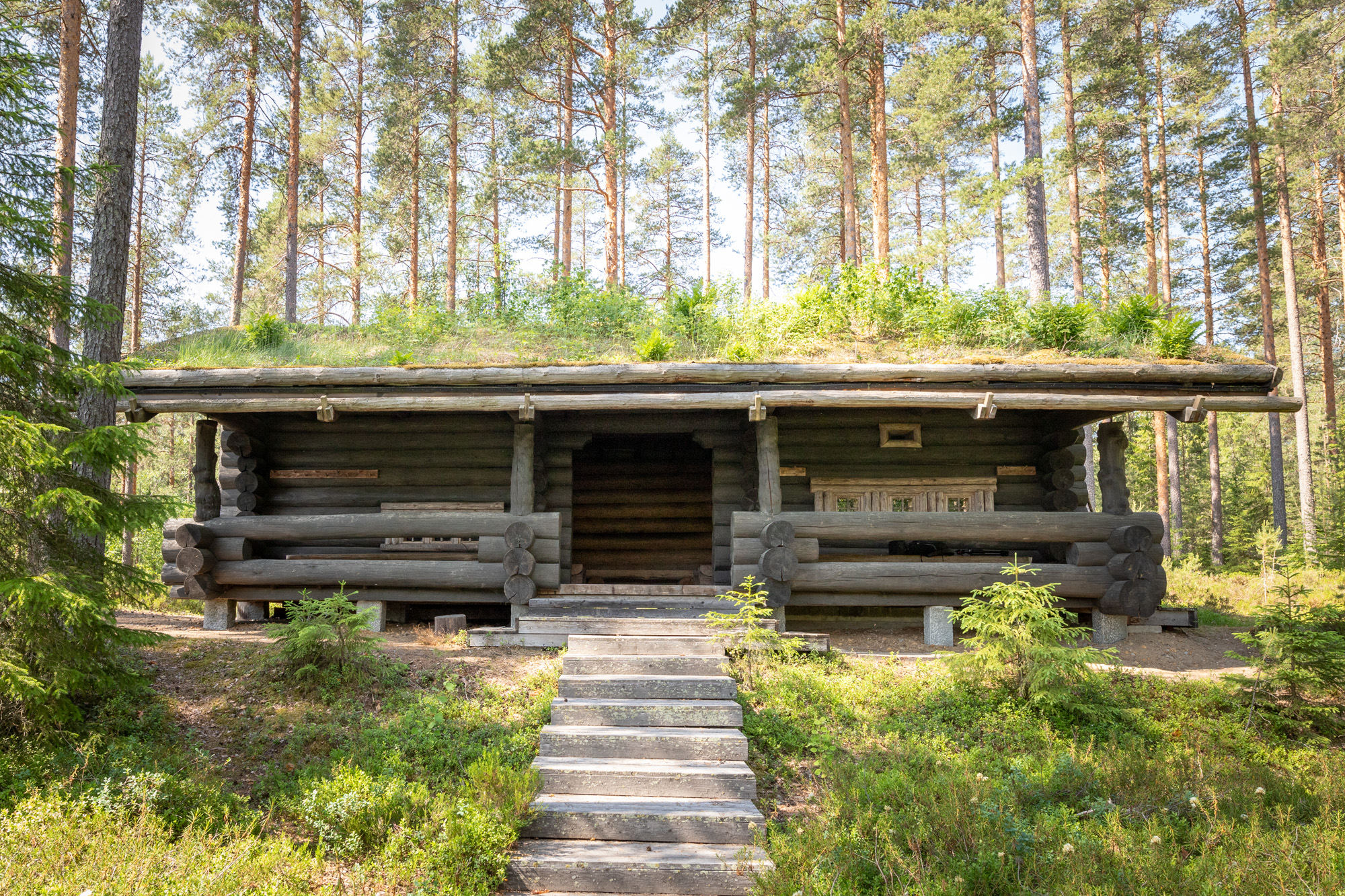 Savusaunan katolla on kunttakerros ja savusauna on mäntymetsän keskellä
