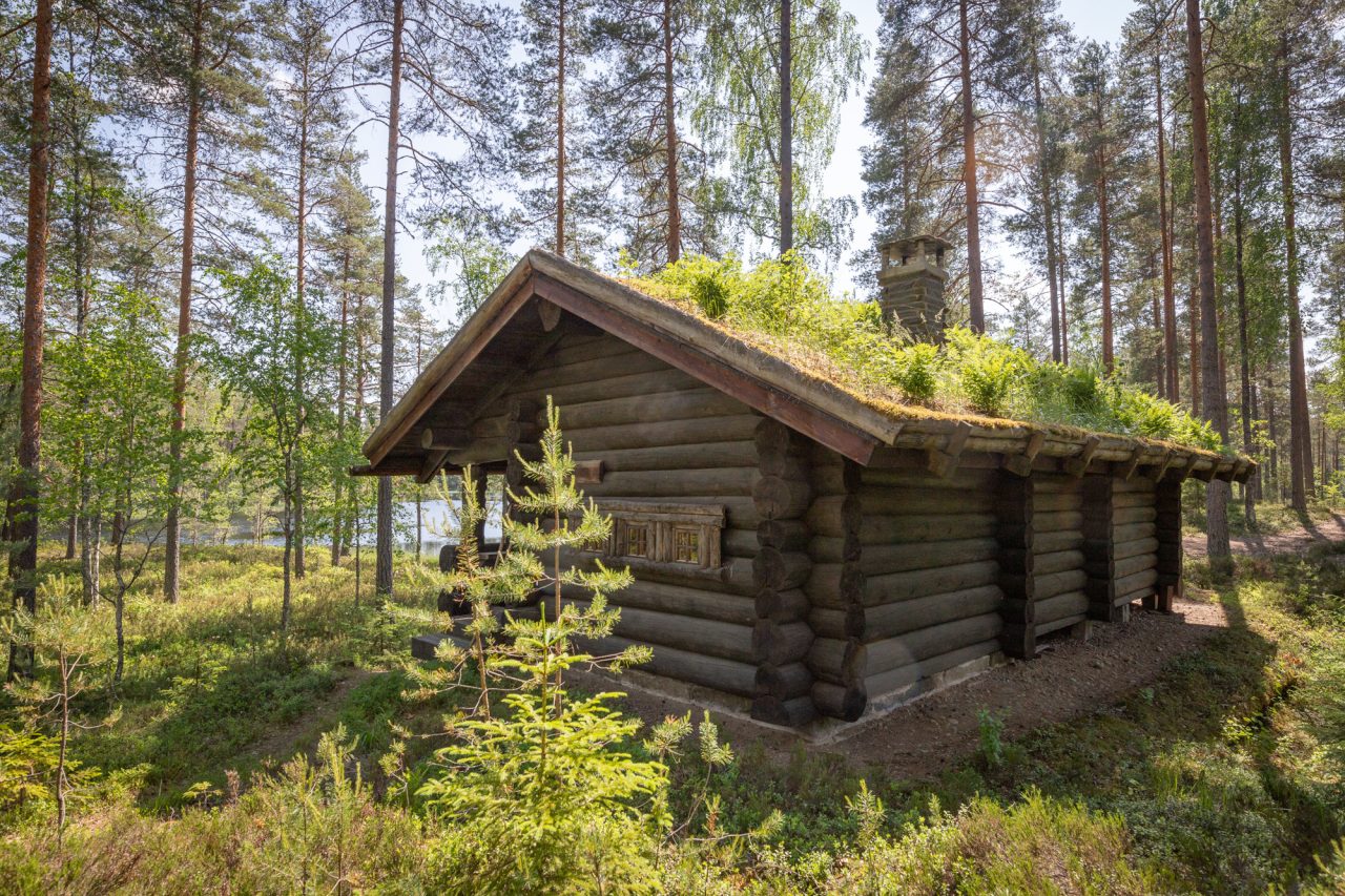 Edessä savusana kunttakatolla ja takana siintää lampi
