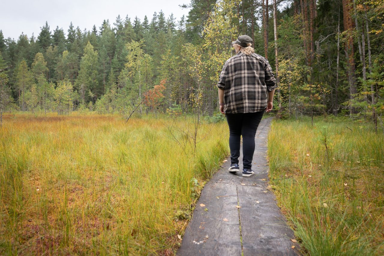 Henkilö kävelee pitkospuilla Ahveniston luontopolulla.