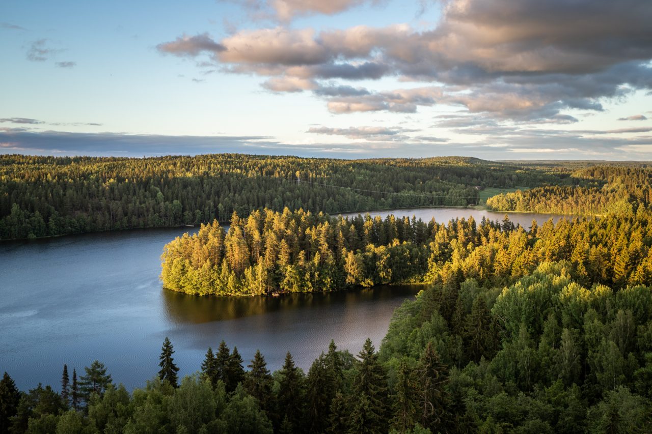 Ilmakuva Aulangonjärvestä.