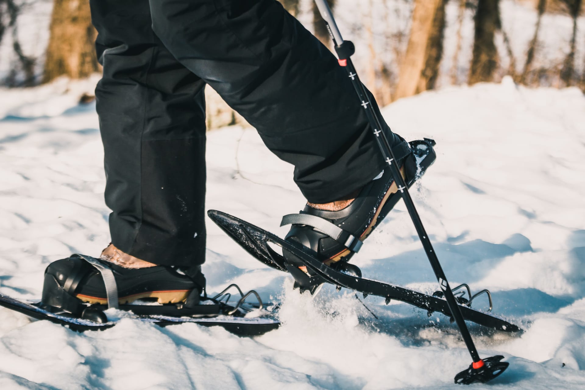 Snowshoeing in Aulanko