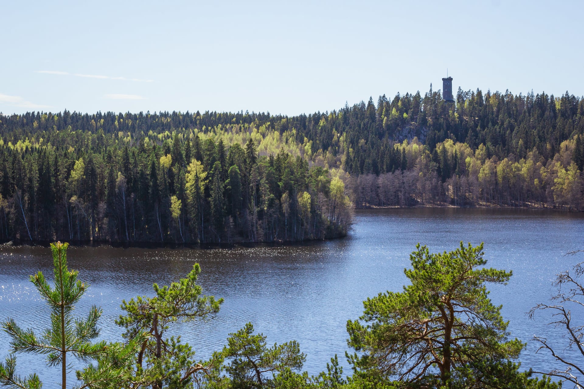 Sibeliuksen metsä, kärmeskallion maisema.
