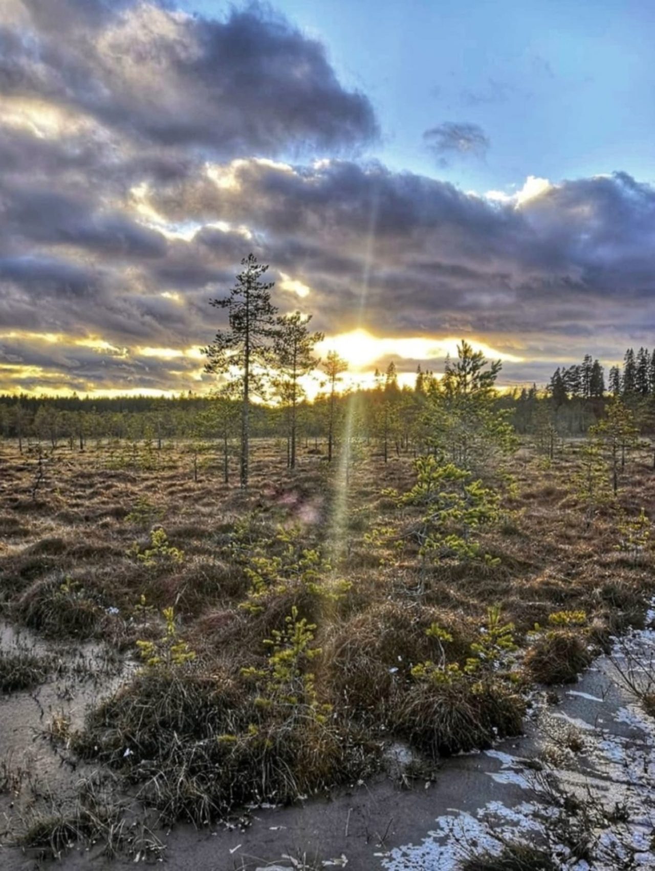 Heinisuo bog and sunset, Hämeenlinna Finland.