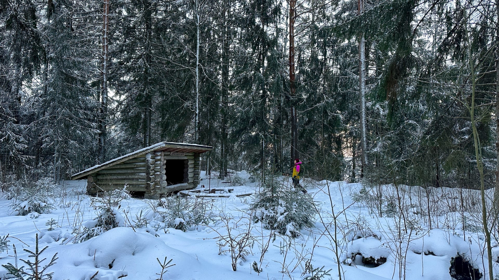 Person is walking towards a lean-to shelter in the winter forest.