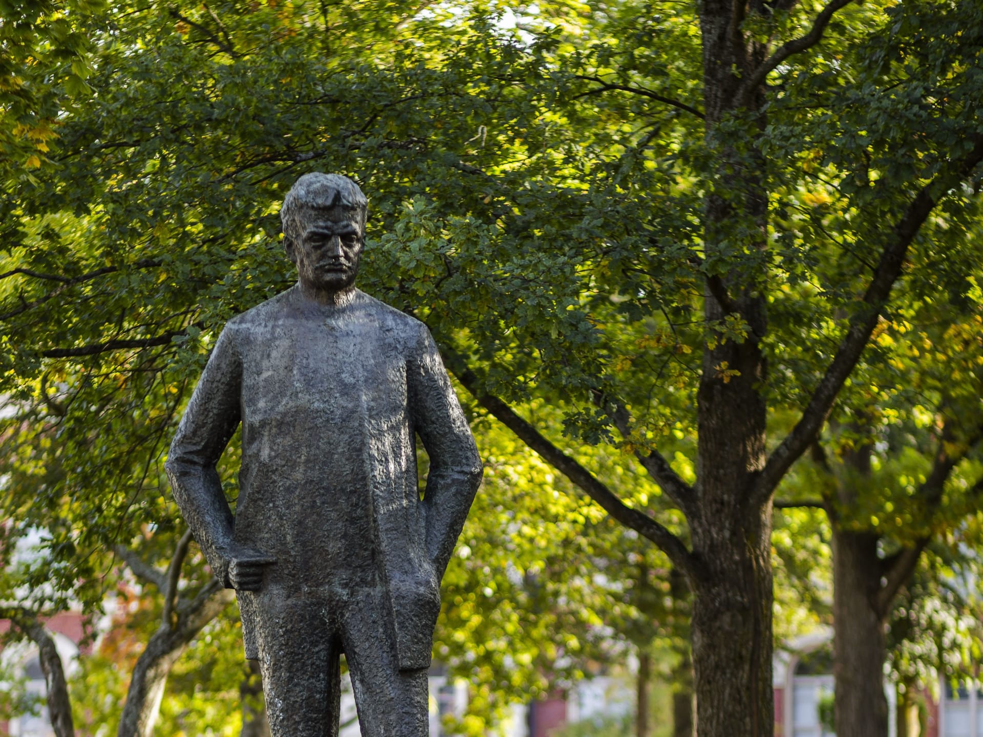 Statue of young Jean Sibelius and trees around it