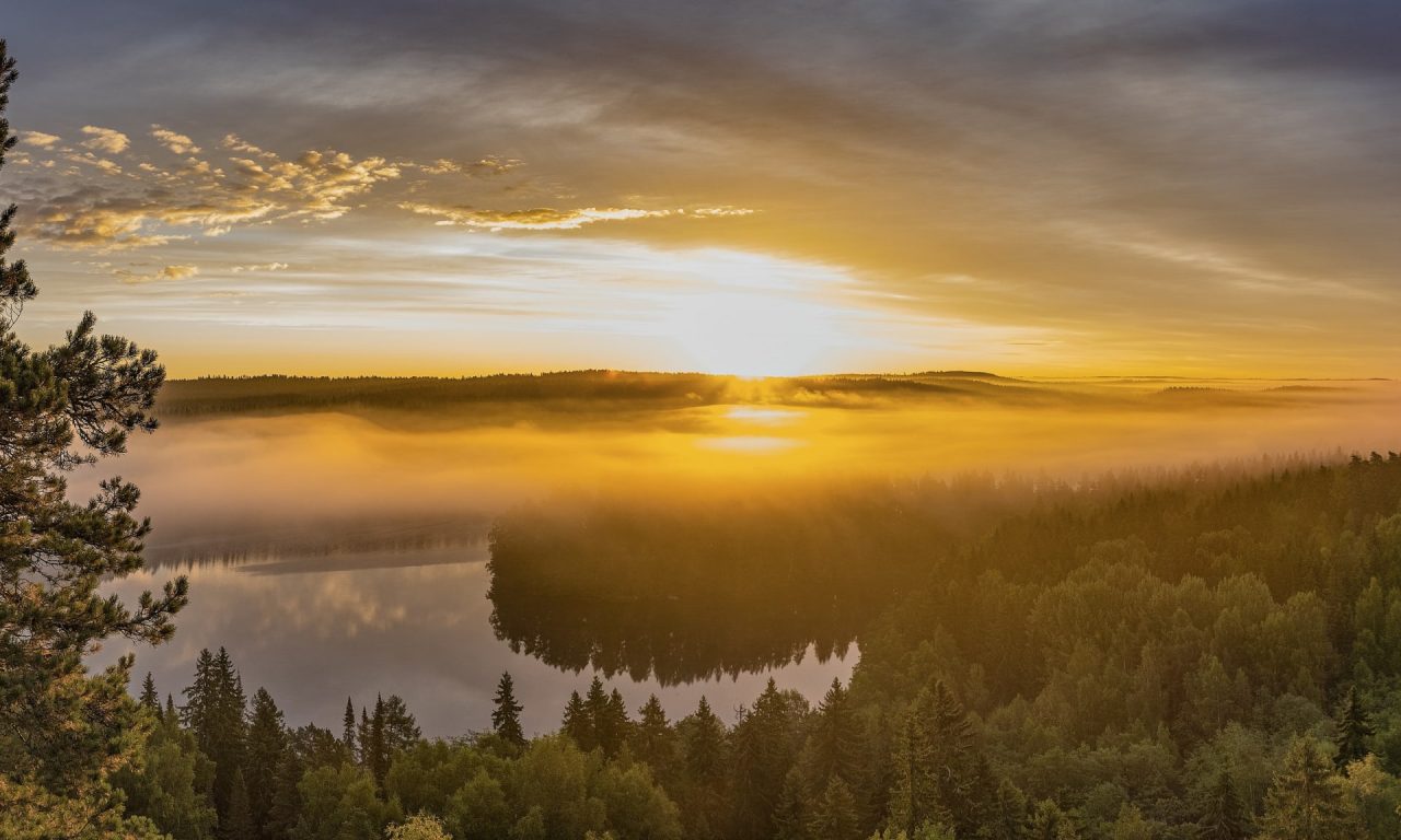 Aulanko ladscape from the observation tower