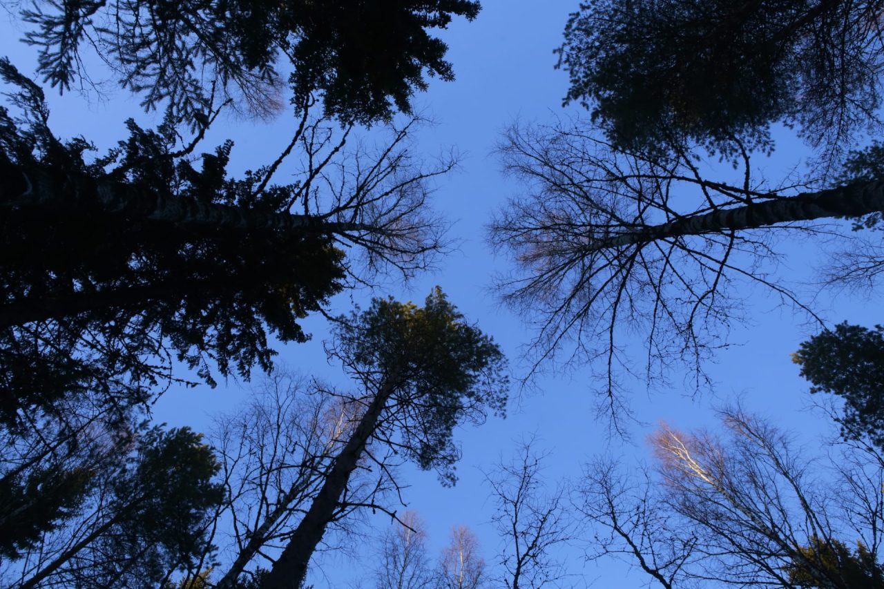 Blue sky