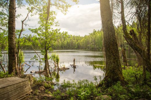 Metsän ympäröimää järveä Evolla.