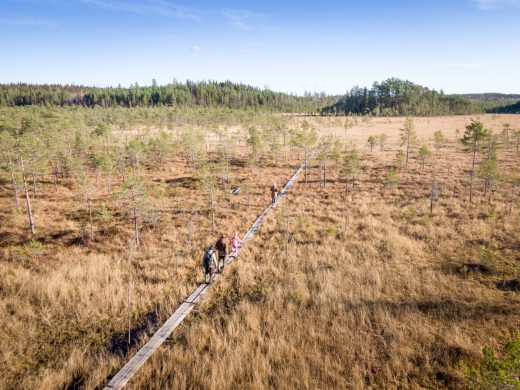 Ulkoilijoita kävelee pitkospuilla Heinisuolla Rengossa.